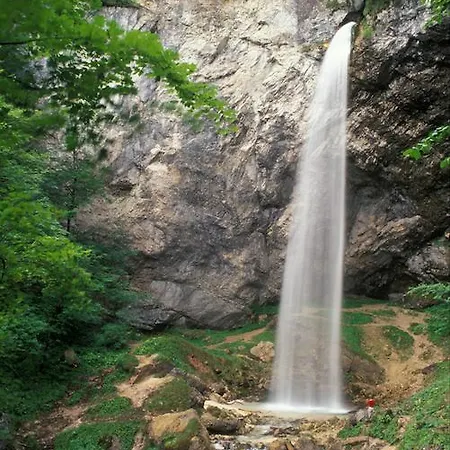 Hotel Reichmann 3*