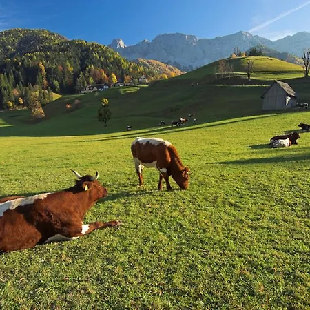Hotel Reichmann Sankt Kanzian am Klopeiner See
